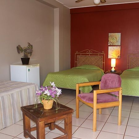 Hotel Don Agucho 纳斯卡 外观 照片